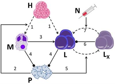 A New Method for Optimizing Sepsis Therapy by Nivolumab and Meropenem Combination: Importance of Early Intervention and CTL Reinvigoration Rate as a Response Marker